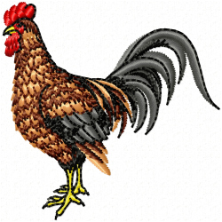 Chickens And Roosters Embroidery Design 3 Chickens And Roosters Embroidery Design 3